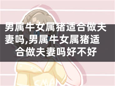 男属牛女属猪适合做夫妻吗,男属牛女属猪适合做夫妻吗好不好