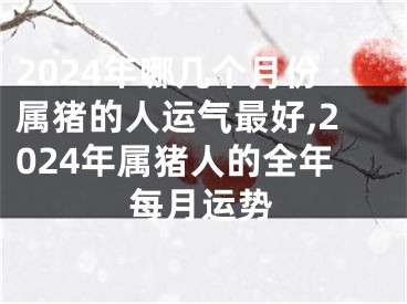 2024年哪几个月份属猪的人运气最好,2024年属猪人的全年每月运势