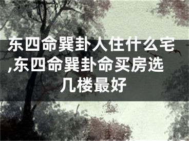 东四命巽卦人住什么宅,东四命巽卦命买房选几楼最好