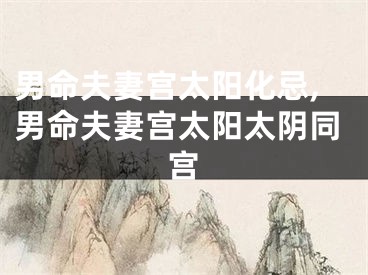 男命夫妻宫太阳化忌,男命夫妻宫太阳太阴同宫