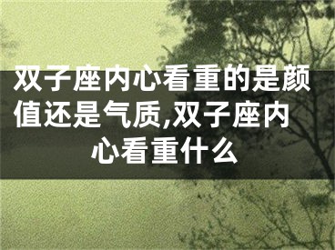双子座内心看重的是颜值还是气质,双子座内心看重什么