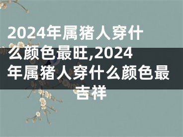 2024年属猪人穿什么颜色最旺,2024年属猪人穿什么颜色最吉祥