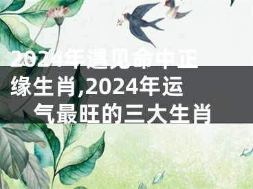 2024年遇见命中正缘生肖,2024年运气最旺的三大生肖