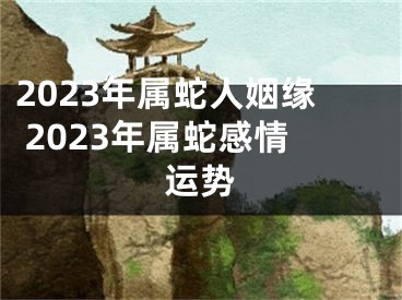 2023年属蛇人姻缘 2023年属蛇感情运势
