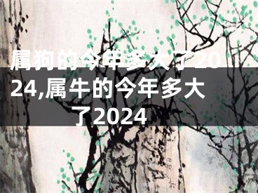 属狗的今年多大了2024,属牛的今年多大了2024