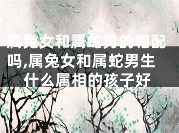 属兔女和属蛇男的相配吗,属兔女和属蛇男生什么属相的孩子好