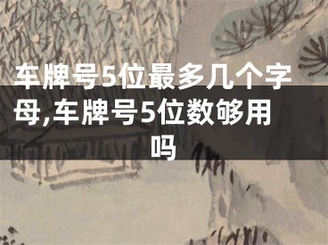 车牌号5位最多几个字母,车牌号5位数够用吗