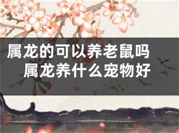 属龙的可以养老鼠吗 属龙养什么宠物好