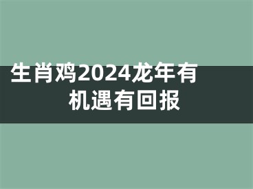 生肖鸡2024龙年有机遇有回报