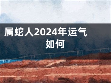 属蛇人2024年运气如何
