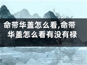 命带华盖怎么看,命带华盖怎么看有没有禄