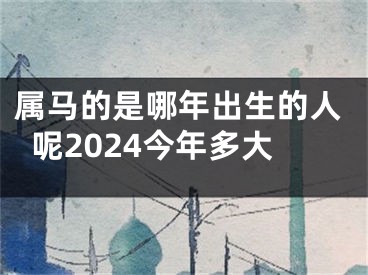 属马的是哪年出生的人呢2024今年多大