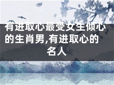 有进取心最受女生倾心的生肖男,有进取心的名人