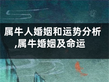 属牛人婚姻和运势分析,属牛婚姻及命运