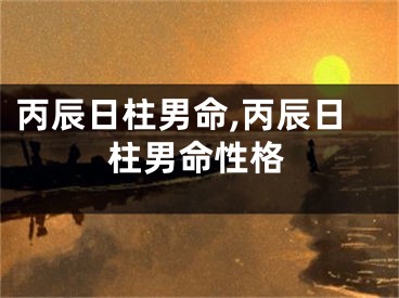 丙辰日柱男命,丙辰日柱男命性格