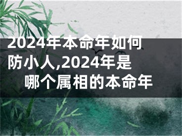 2024年本命年如何防小人,2024年是哪个属相的本命年
