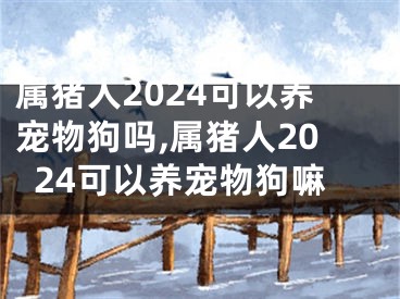 属猪人2024可以养宠物狗吗,属猪人2024可以养宠物狗嘛
