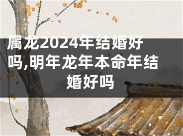 属龙2024年结婚好吗,明年龙年本命年结婚好吗