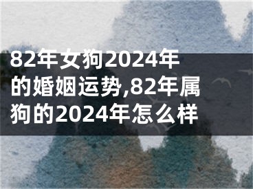 82年女狗2024年的婚姻运势,82年属狗的2024年怎么样