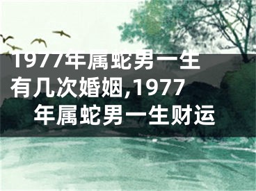 1977年属蛇男一生有几次婚姻,1977年属蛇男一生财运