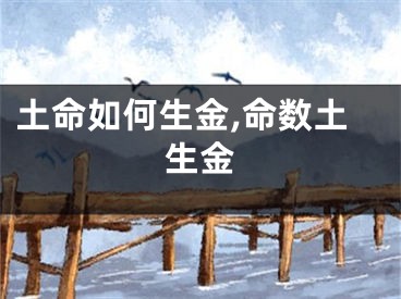 土命如何生金,命数土生金