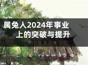 属兔人2024年事业上的突破与提升