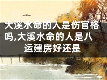 大溪水命的人是伤官格吗,大溪水命的人是八运建房好还是
