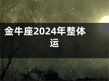 金牛座2024年整体运