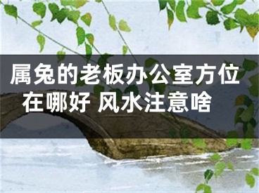 属兔的老板办公室方位在哪好 风水注意啥