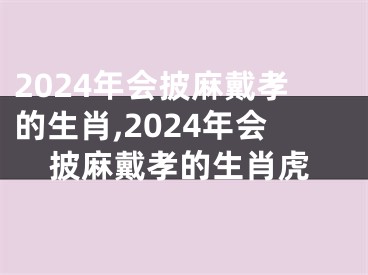 2024年会披麻戴孝的生肖,2024年会披麻戴孝的生肖虎