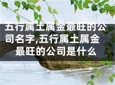 五行属土属金最旺的公司名字,五行属土属金最旺的公司是什么