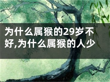 为什么属猴的29岁不好,为什么属猴的人少