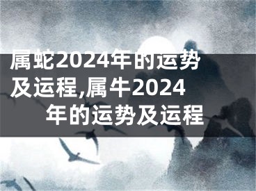属蛇2024年的运势及运程,属牛2024年的运势及运程