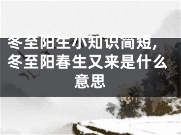 冬至阳生小知识简短,冬至阳春生又来是什么意思