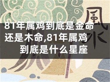 81年属鸡到底是金命还是木命,81年属鸡到底是什么星座