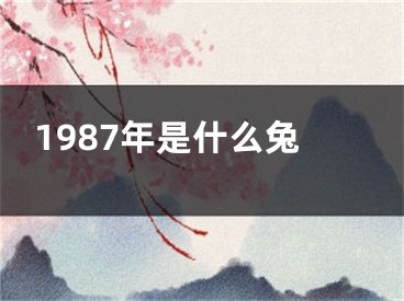 1987年是什么兔