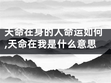 天命在身的人命运如何,天命在我是什么意思