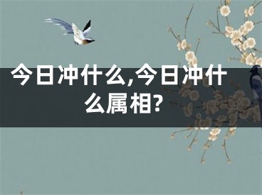 今日冲什么,今日冲什么属相?