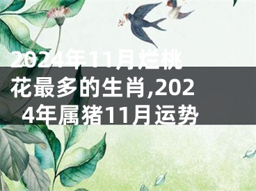2024年11月烂桃花最多的生肖,2024年属猪11月运势