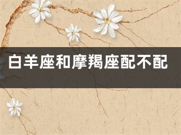 白羊座和摩羯座配不配