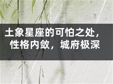 土象星座的可怕之处，性格内敛，城府极深