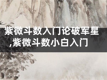 紫微斗数入门论破军星,紫微斗数小白入门