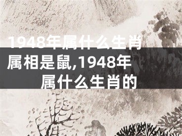 1948年属什么生肖属相是鼠,1948年属什么生肖的