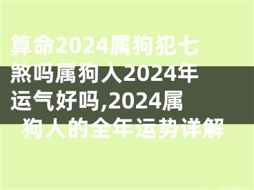 算命2024属狗犯七煞吗属狗人2024年运气好吗,2024属狗人的全年运势详解