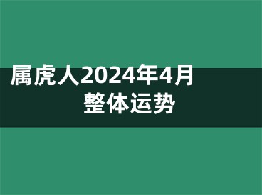 属虎人2024年4月整体运势
