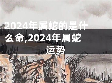 2024年属蛇的是什么命,2024年属蛇运势