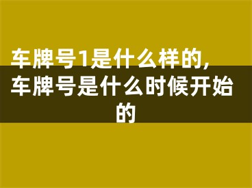 车牌号1是什么样的,车牌号是什么时候开始的