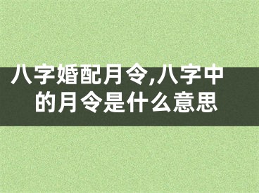 八字婚配月令,八字中的月令是什么意思