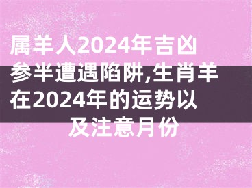 属羊人2024年吉凶参半遭遇陷阱,生肖羊在2024年的运势以及注意月份