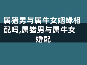 属猪男与属牛女姻缘相配吗,属猪男与属牛女婚配